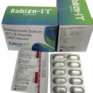 Rabizn-IT