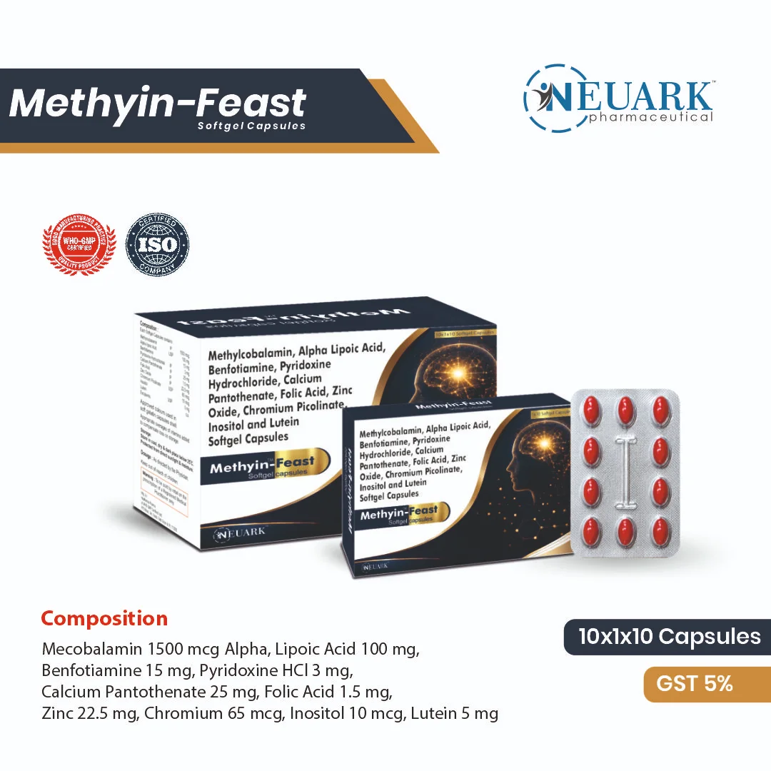 Methyin-Feast - Image 2